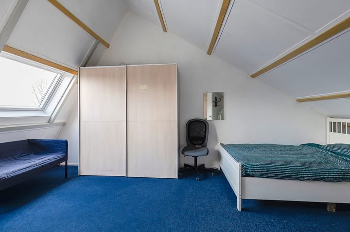 Foto 20 van Linnaeuslaan 75