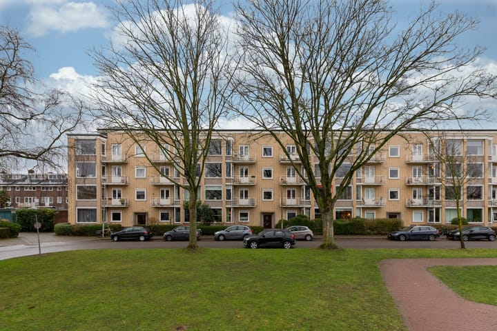 Foto 6 van Victor Hugoplantsoen 14-B1