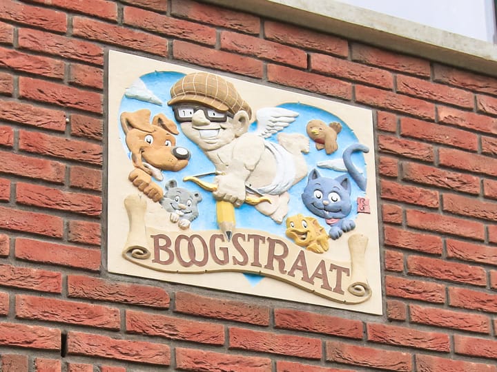 Foto 35 van Boogstraat 15