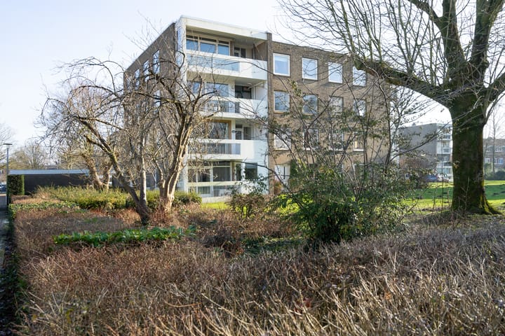 Foto 4 van Waddenland 28