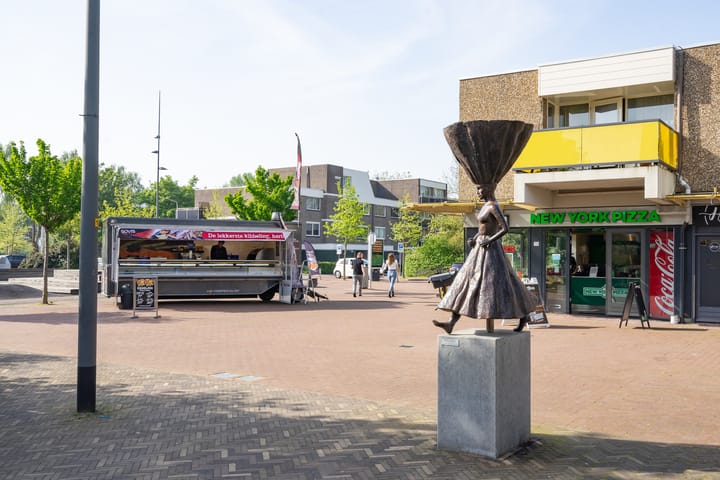 Foto 24 van Waddenland 28