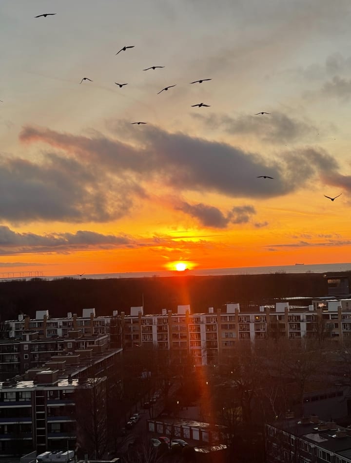 Foto 7 van Mozartlaan 252