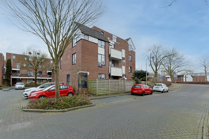 Foto 2 van Stuifzwam 90