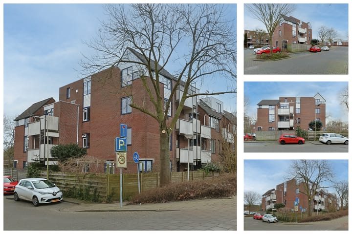 Foto 4 van Stuifzwam 90