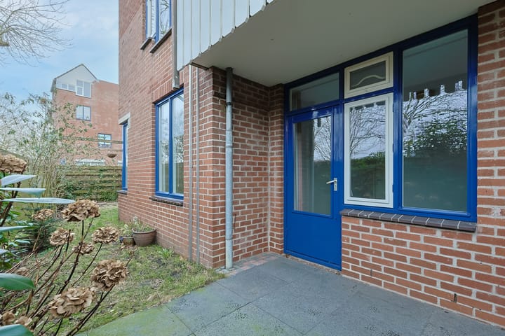 Foto 33 van Stuifzwam 90