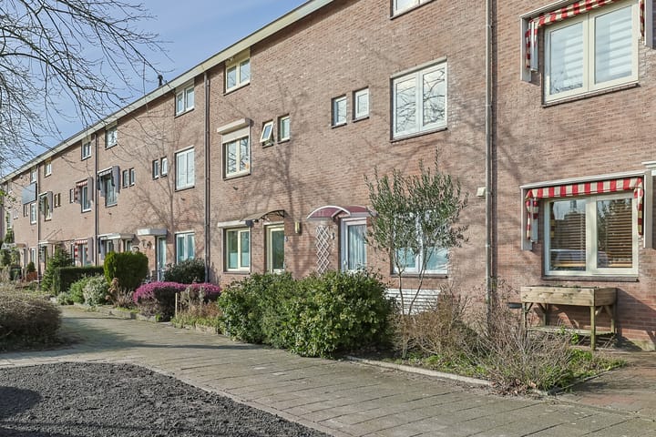 Foto 2 van Jeltje de Bosch Kemperstraat 6