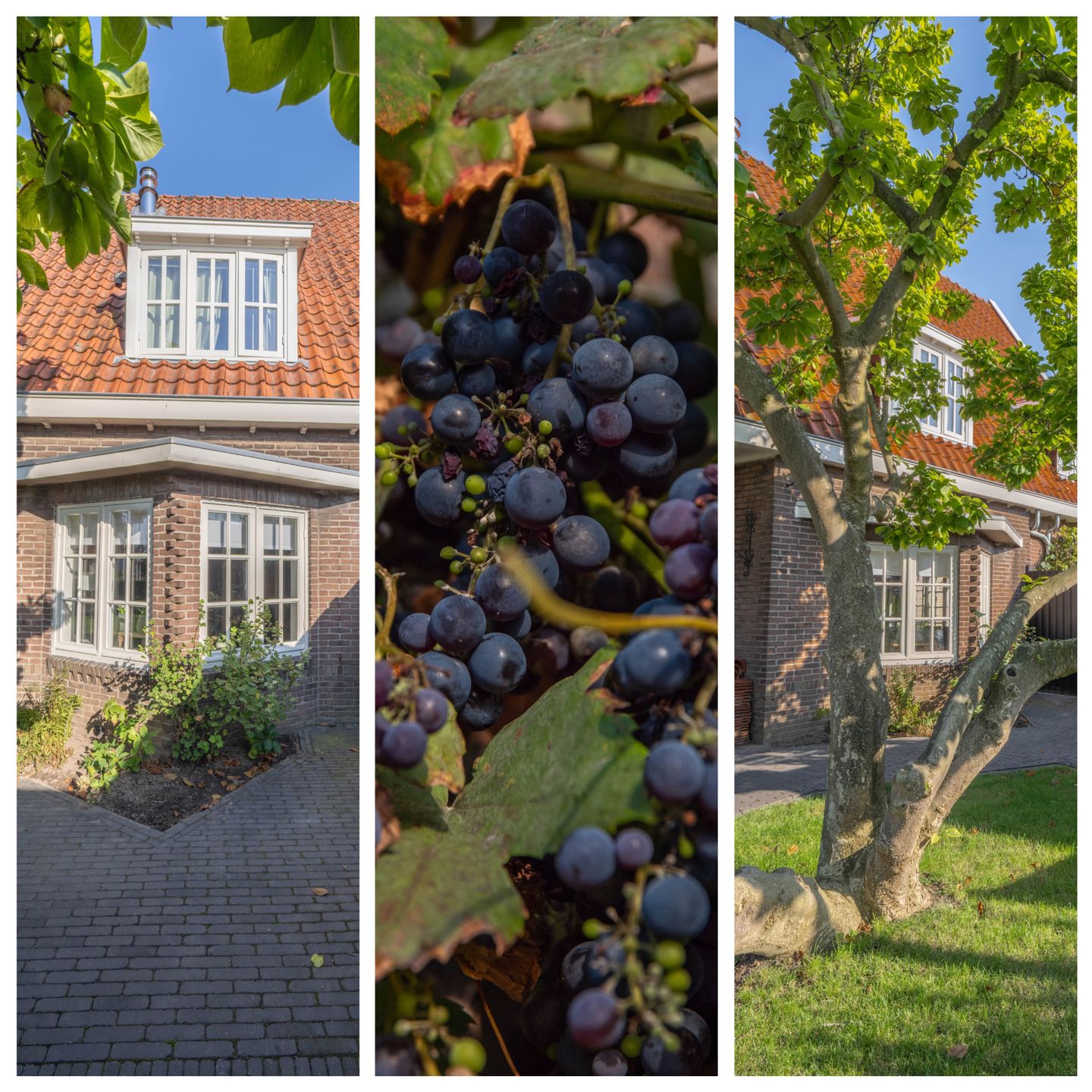 Foto 14 van Papesteeg 47