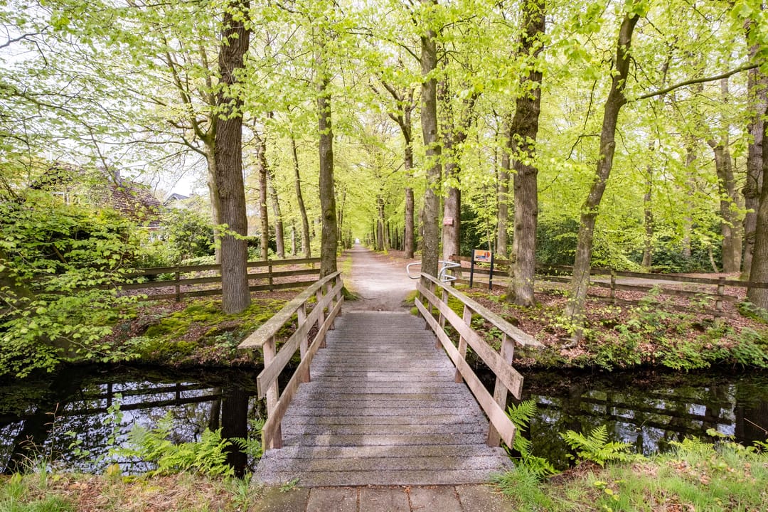 Foto 67 van Staniasingel 18