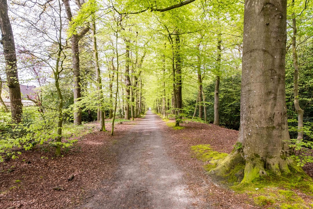 Foto 68 van Staniasingel 18