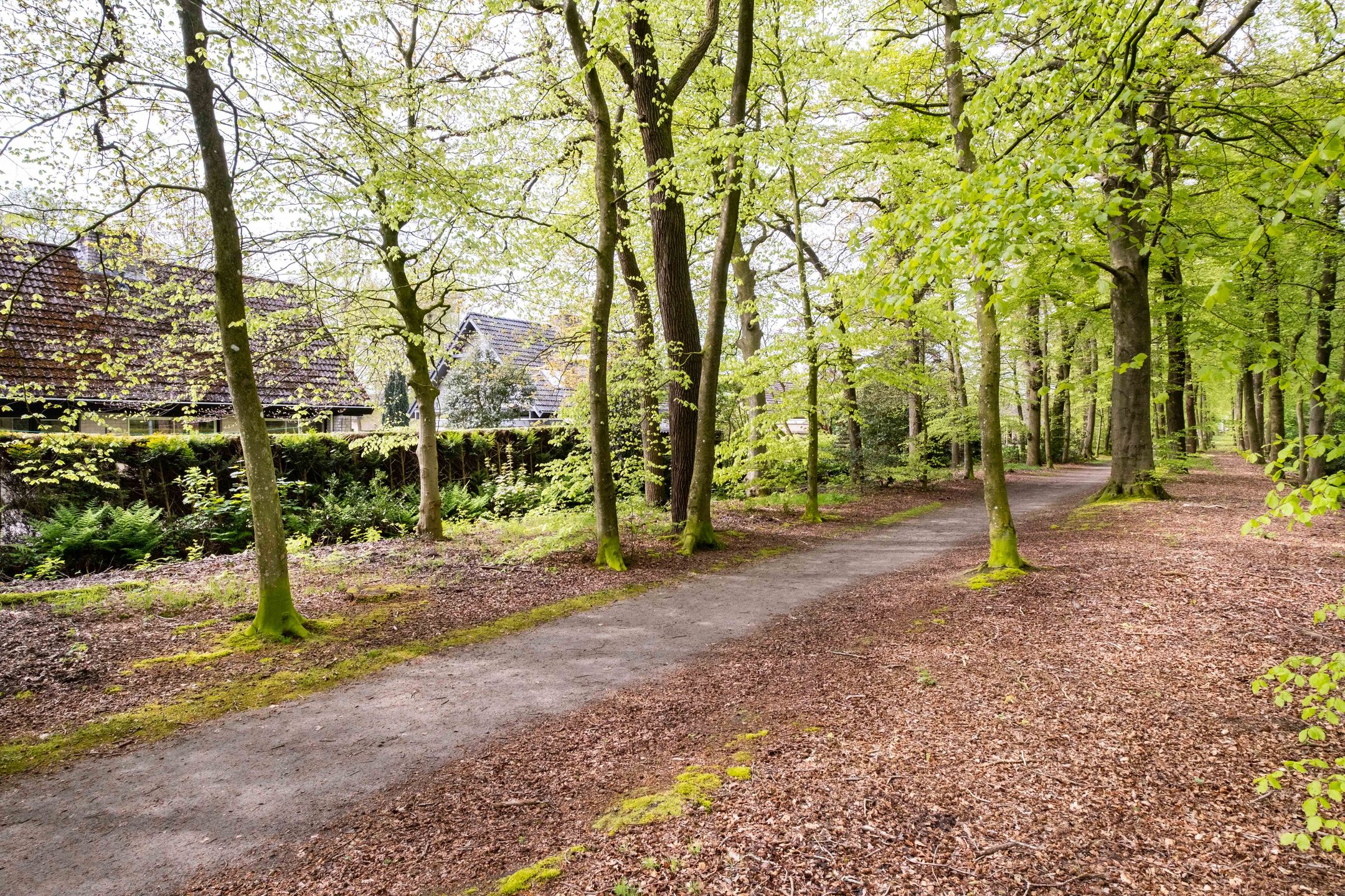 Foto 69 van Staniasingel 18