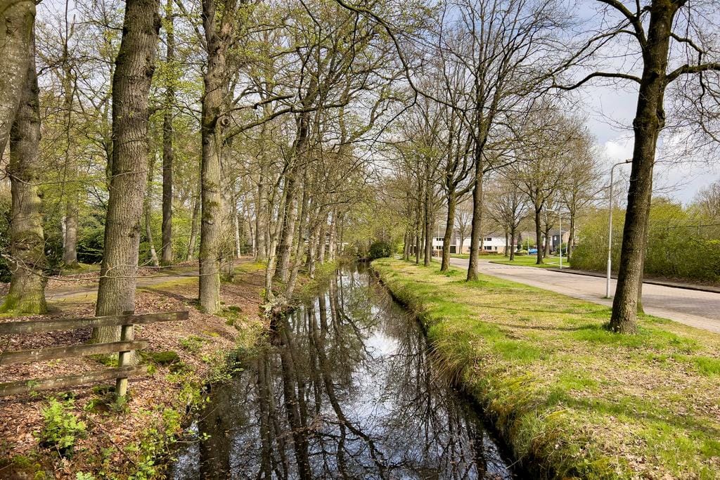 Foto 71 van Staniasingel 18