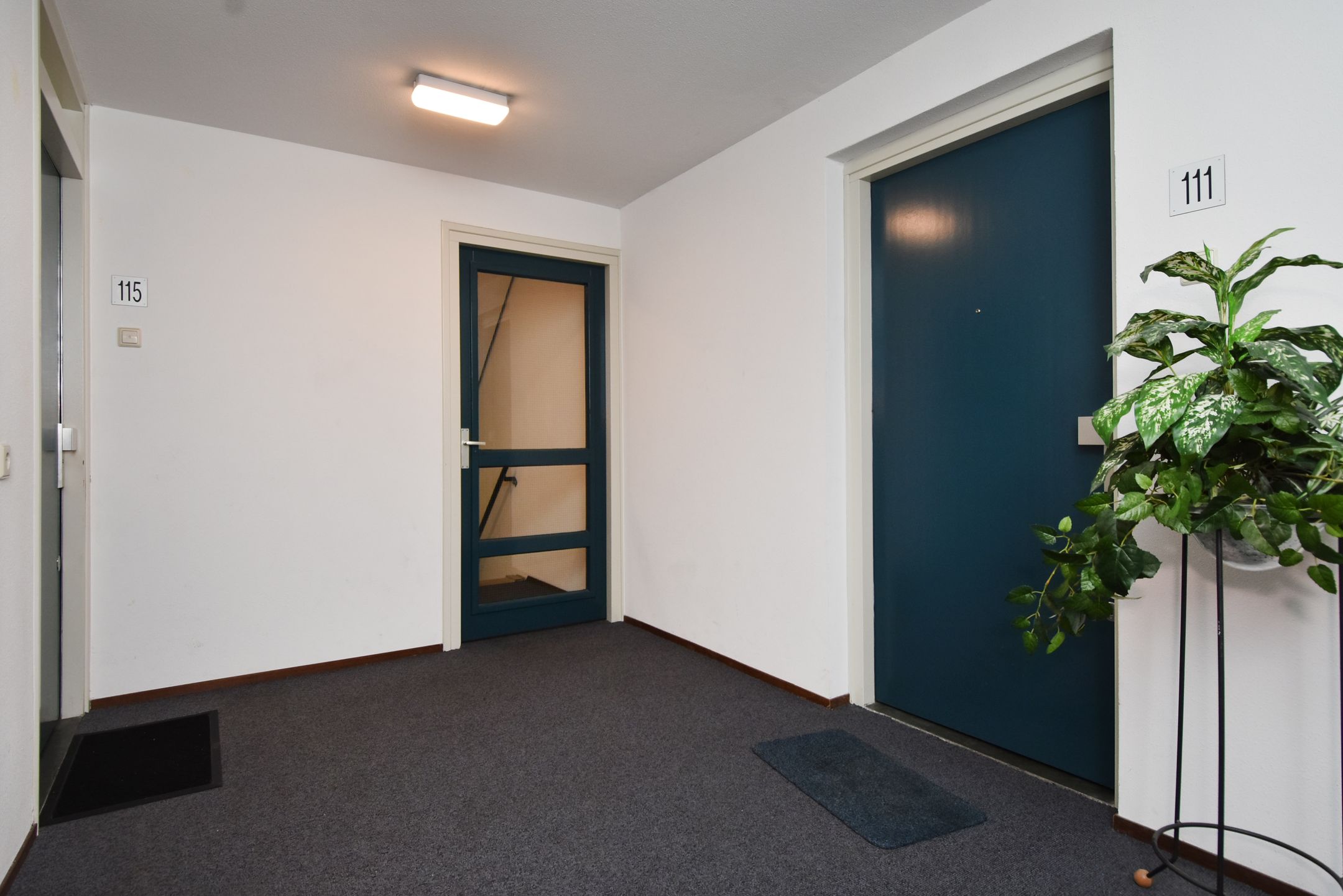 Foto 6 van Balen van Andelplein 111