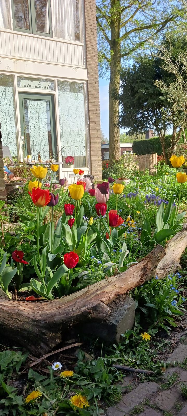 Foto 42 van Pastoor Pelgrömlaan 12