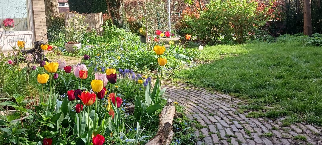 Foto 43 van Pastoor Pelgrömlaan 12