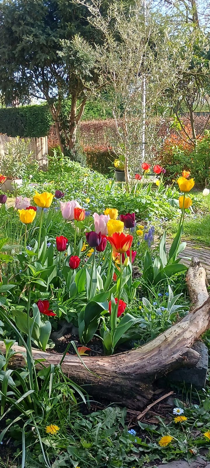 Foto 44 van Pastoor Pelgrömlaan 12