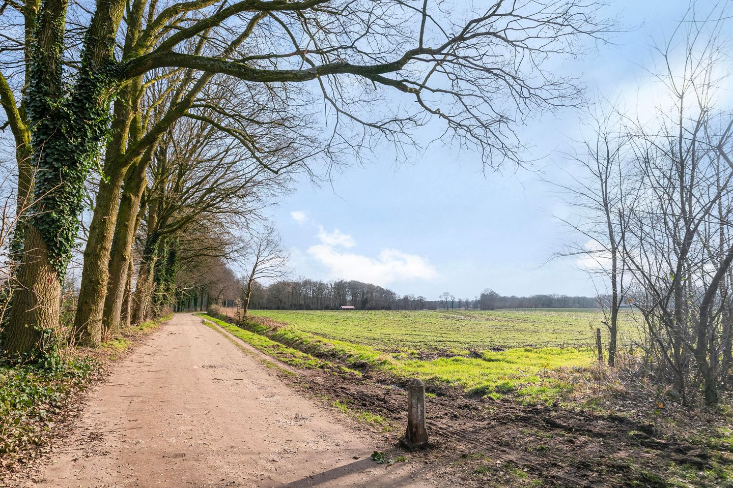 Foto 29 van Kneppelhoutpad 14