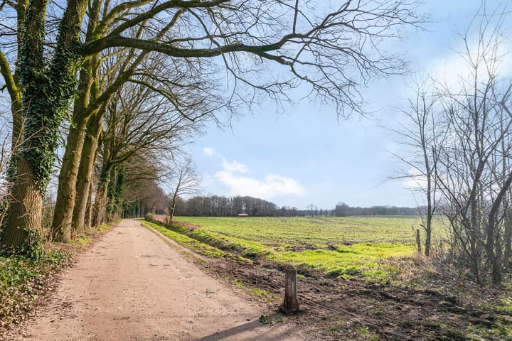 Foto 29 van Kneppelhoutpad 14