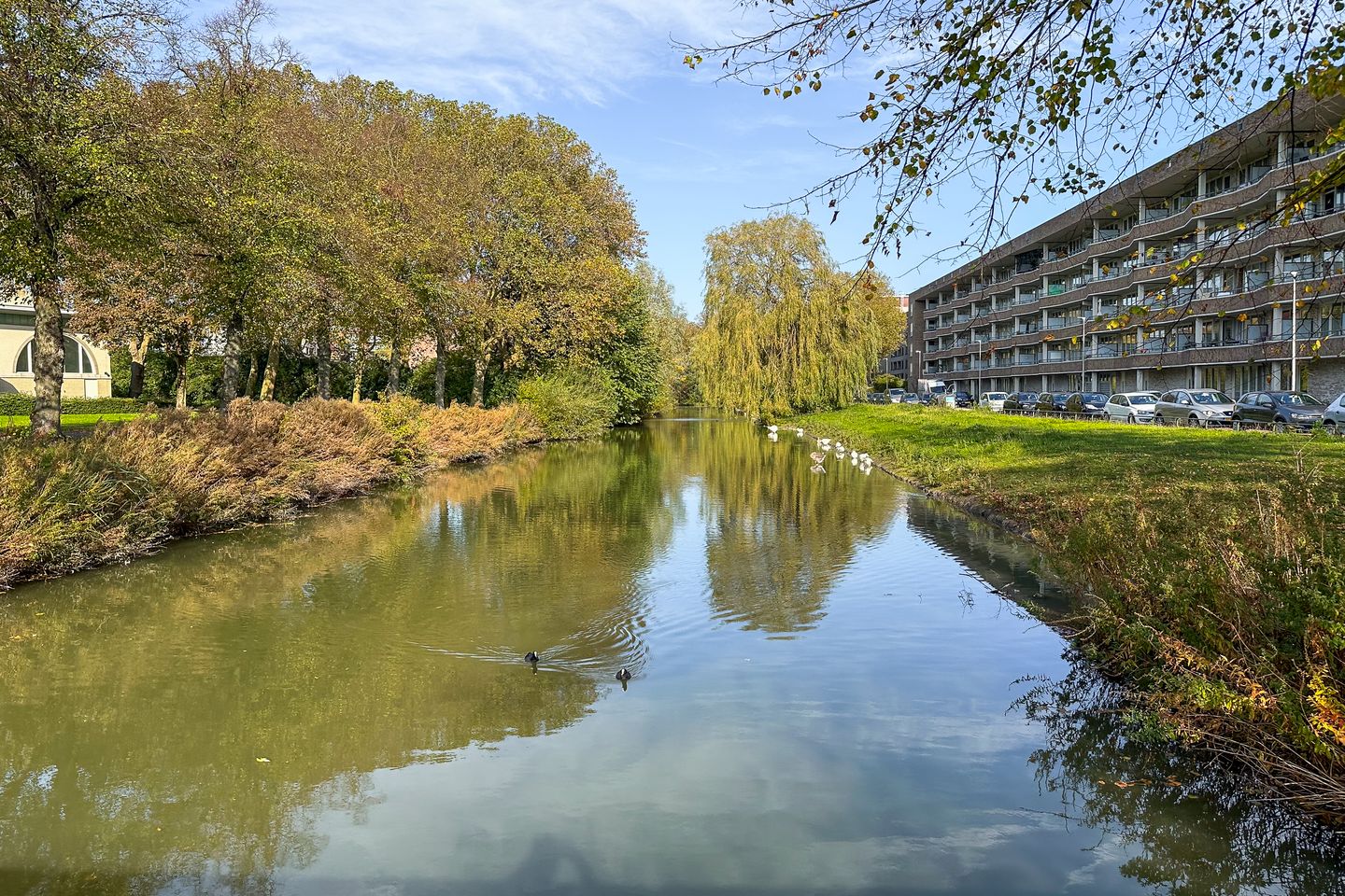 Foto 34 van Montfoortlaan 40