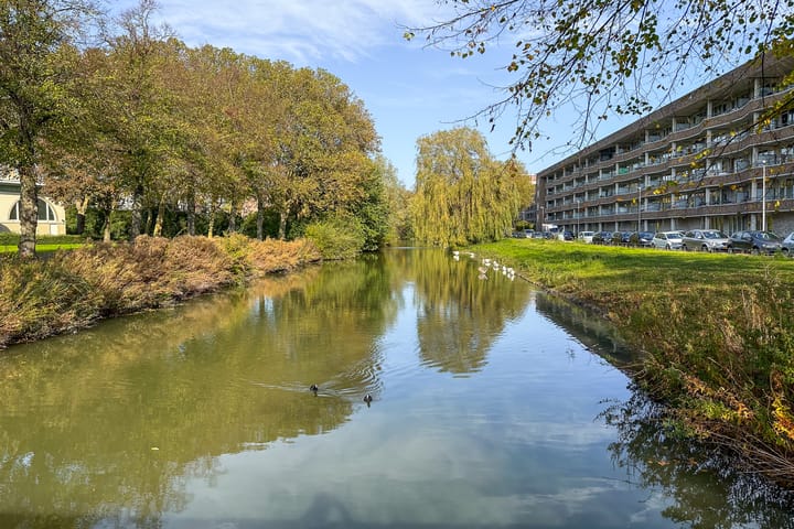 Foto 34 van Montfoortlaan 40