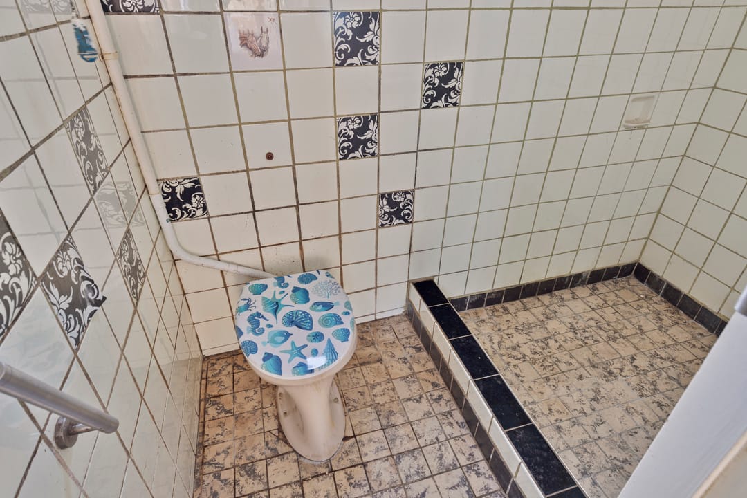 Foto 7 van Hemonystraat 23