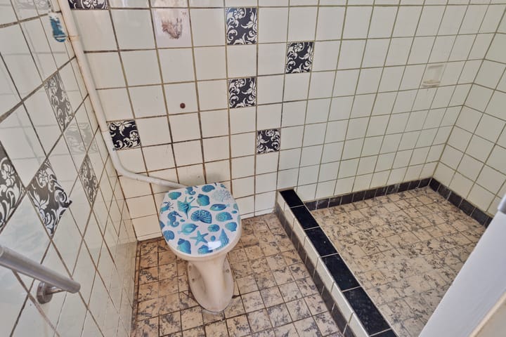 Foto 7 van Hemonystraat 23