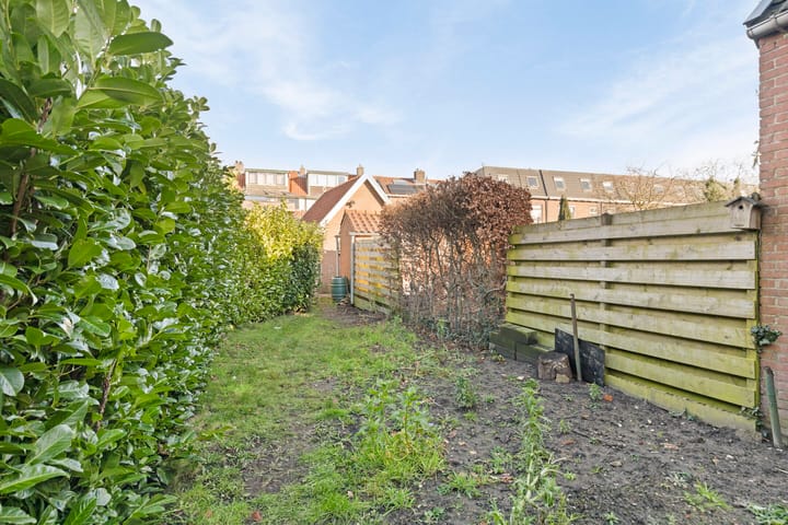 Foto 29 van Hemonystraat 23