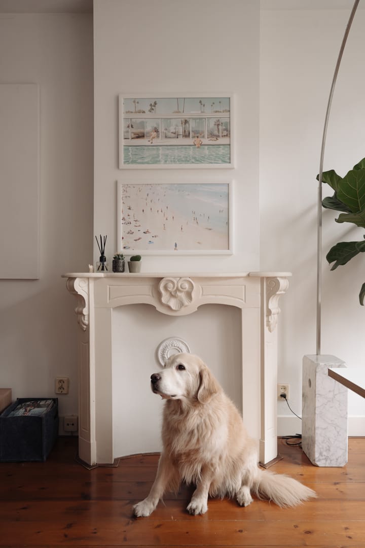 Foto 8 van Brederodestraat 39-2