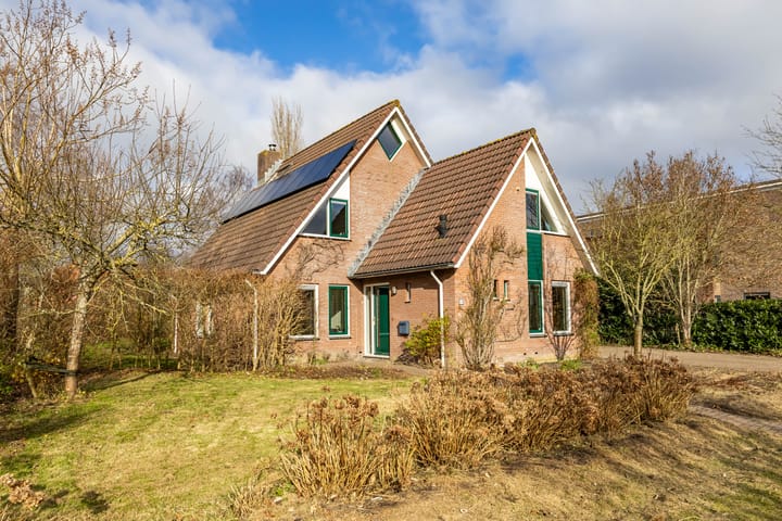 Photo 1 of Aalscholver 3