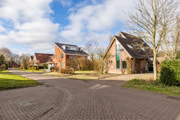 Foto 2 van Aalscholver 3