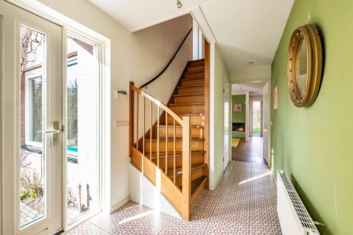 Foto 3 van Aalscholver 3