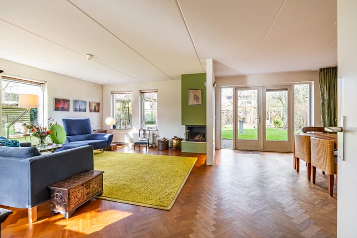 Foto 4 van Aalscholver 3