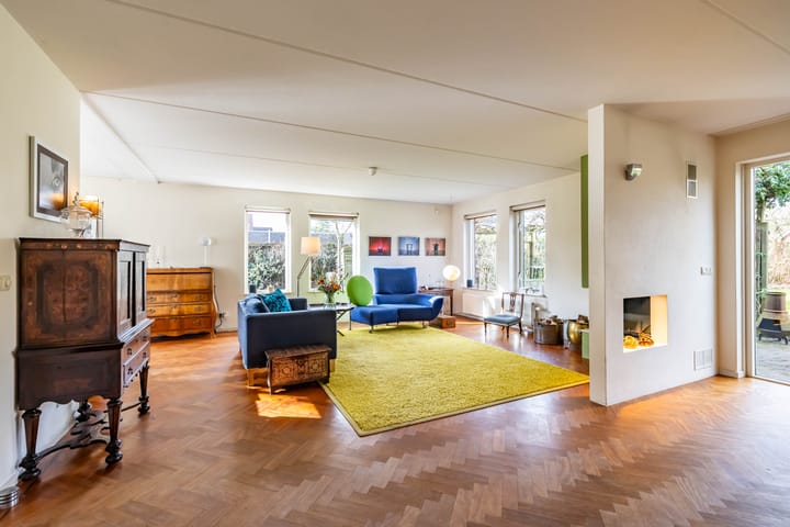 Foto 5 van Aalscholver 3