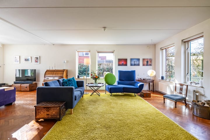 Photo 6 of Aalscholver 3