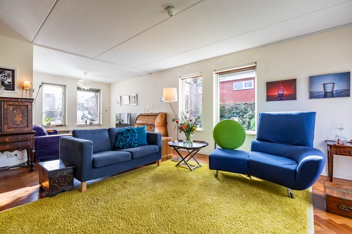 Photo 7 of Aalscholver 3