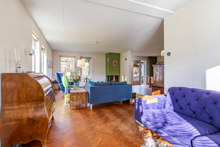 Photo 9 of Aalscholver 3