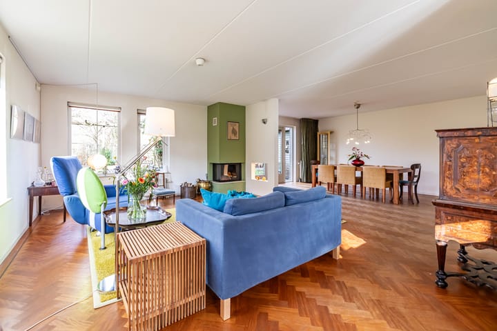 Photo 10 of Aalscholver 3