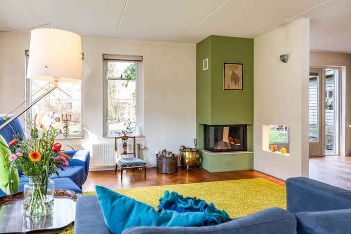 Photo 11 of Aalscholver 3