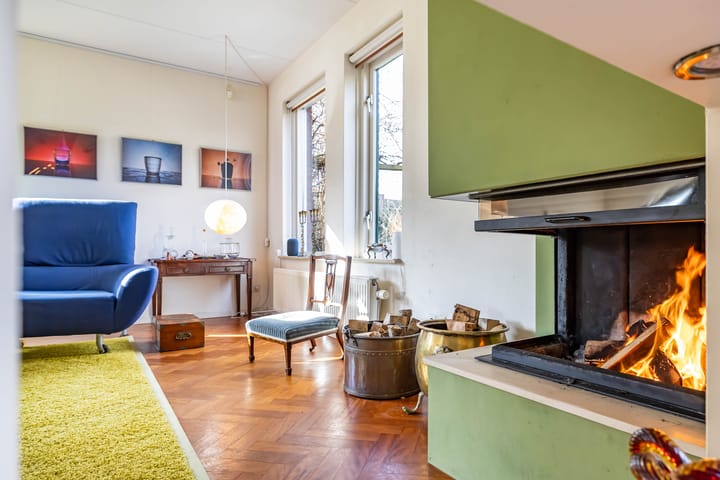 Photo 12 of Aalscholver 3