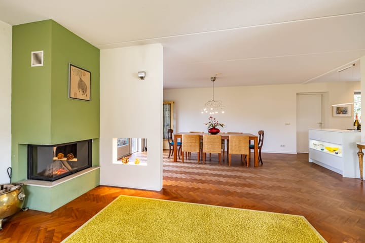 Photo 14 of Aalscholver 3