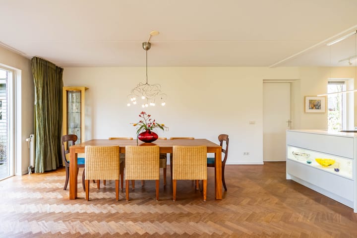 Photo 15 of Aalscholver 3