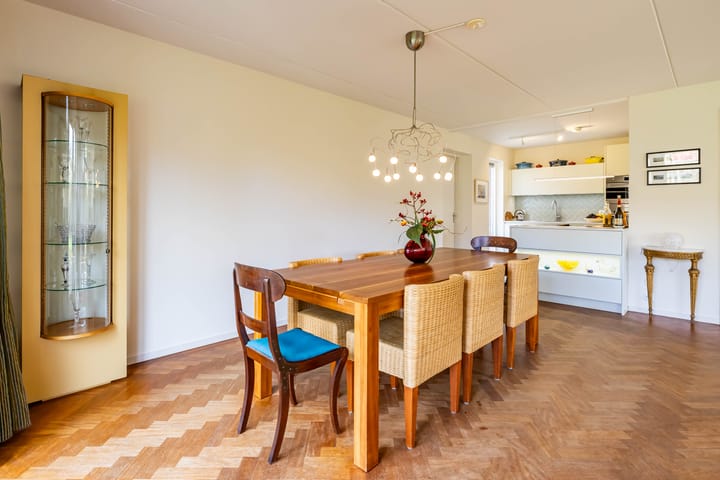 Photo 16 of Aalscholver 3