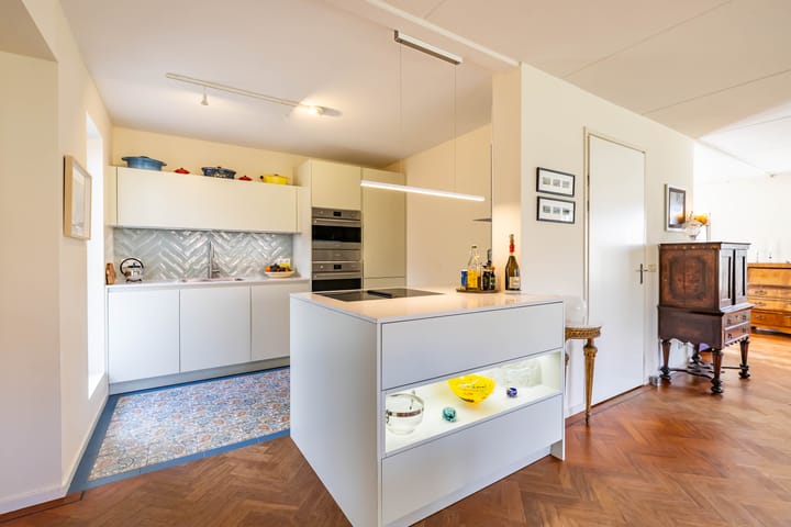 Photo 17 of Aalscholver 3