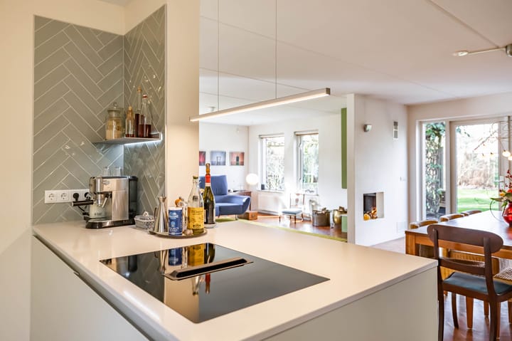 Photo 19 of Aalscholver 3