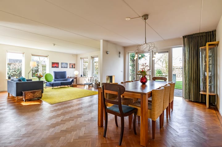 Photo 20 of Aalscholver 3