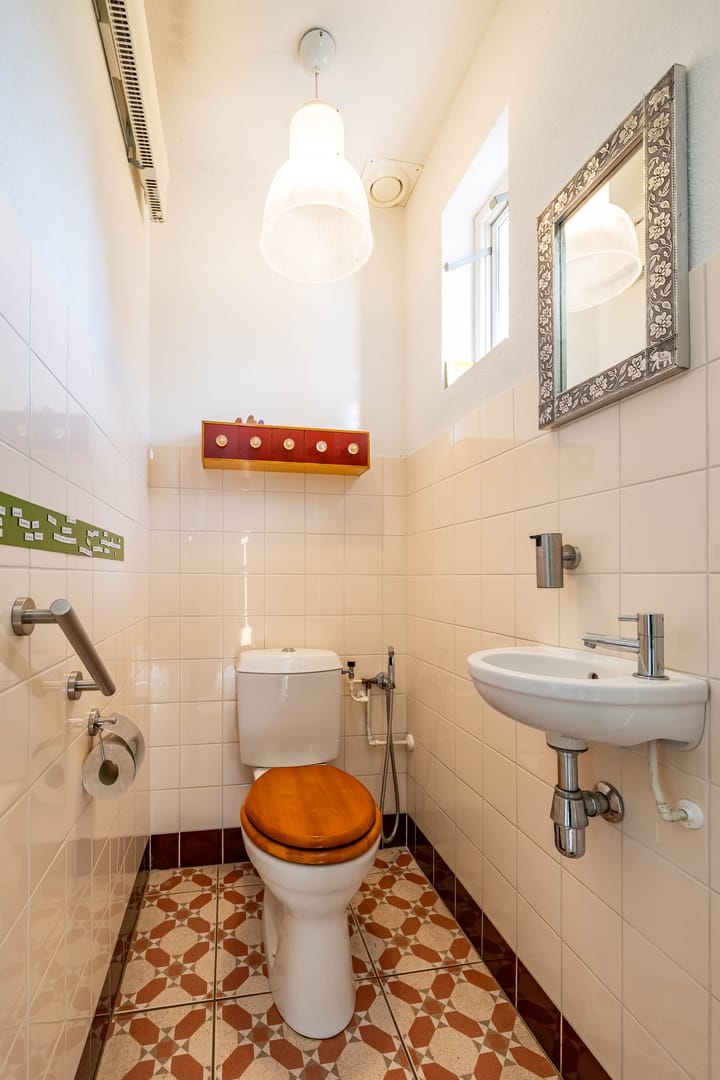 Photo 22 of Aalscholver 3