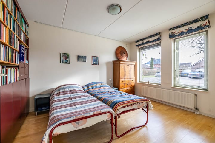 Photo 23 of Aalscholver 3