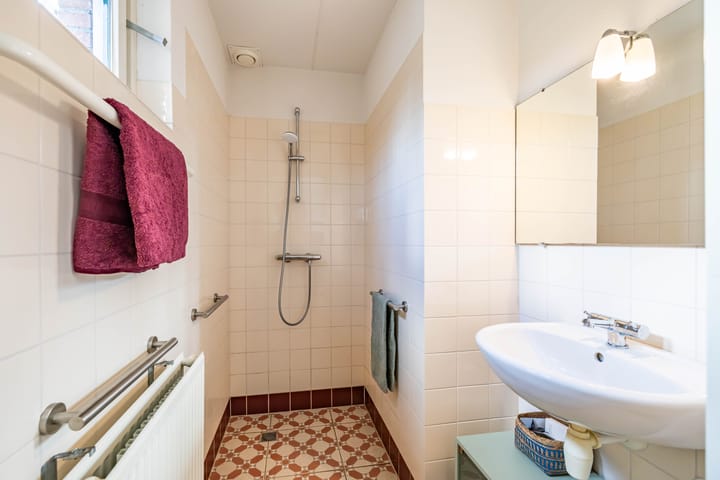 Photo 24 of Aalscholver 3