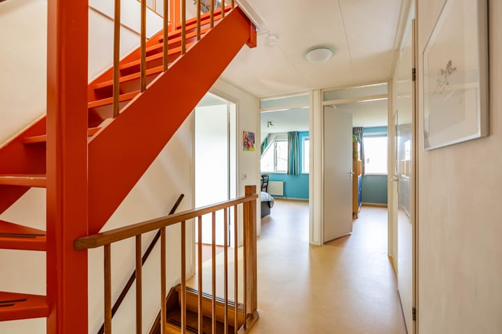 Photo 25 of Aalscholver 3