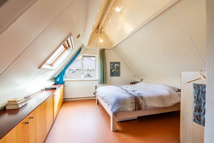 Photo 26 of Aalscholver 3