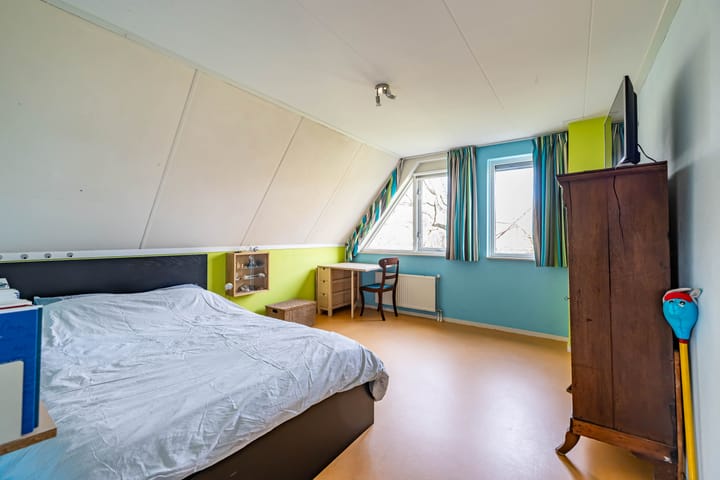 Photo 28 of Aalscholver 3